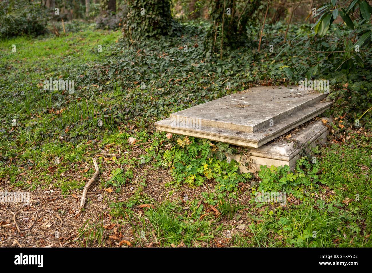 enjoy-what-my-eyes-see-stock-photo-alamy