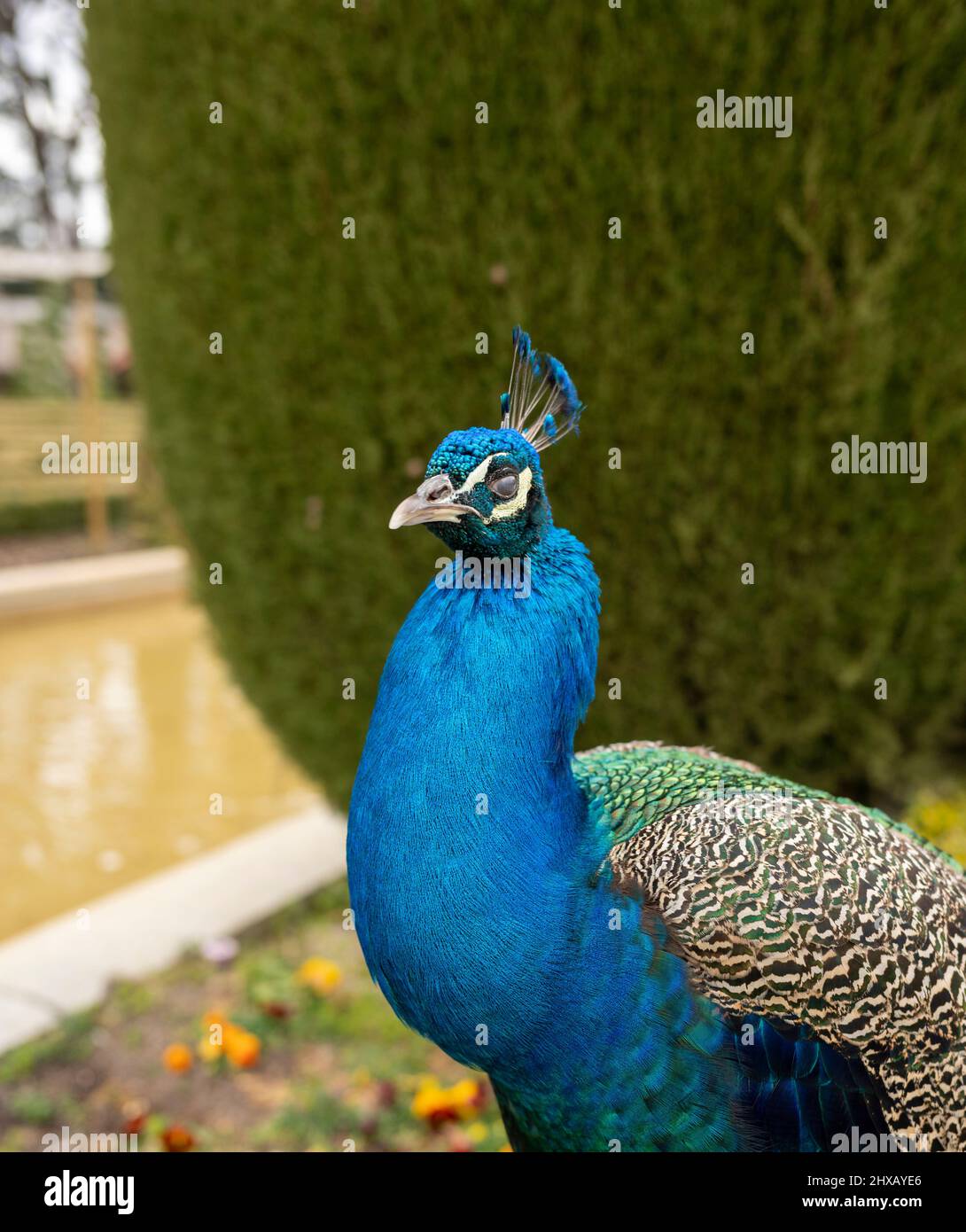 enjoy-what-my-eyes-see-stock-photo-alamy