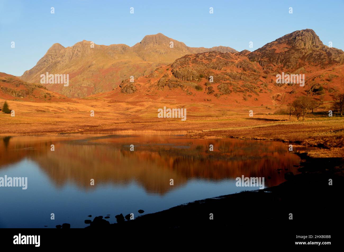 The 'Langdale Pikes' and 'Side Pike' Reflected in Blea Tarn at Dawn, Langdale, Lake District National Park, Cumbria, England, UK Stock Photo