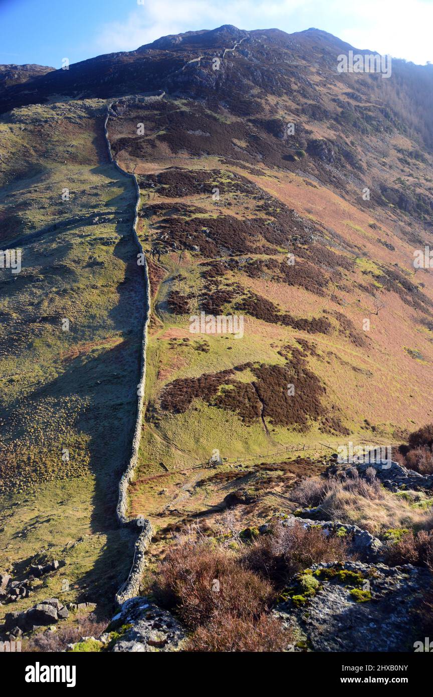 the-stone-wall-to-the-wainwright-lingmoor-fell-from-the-top-of-side