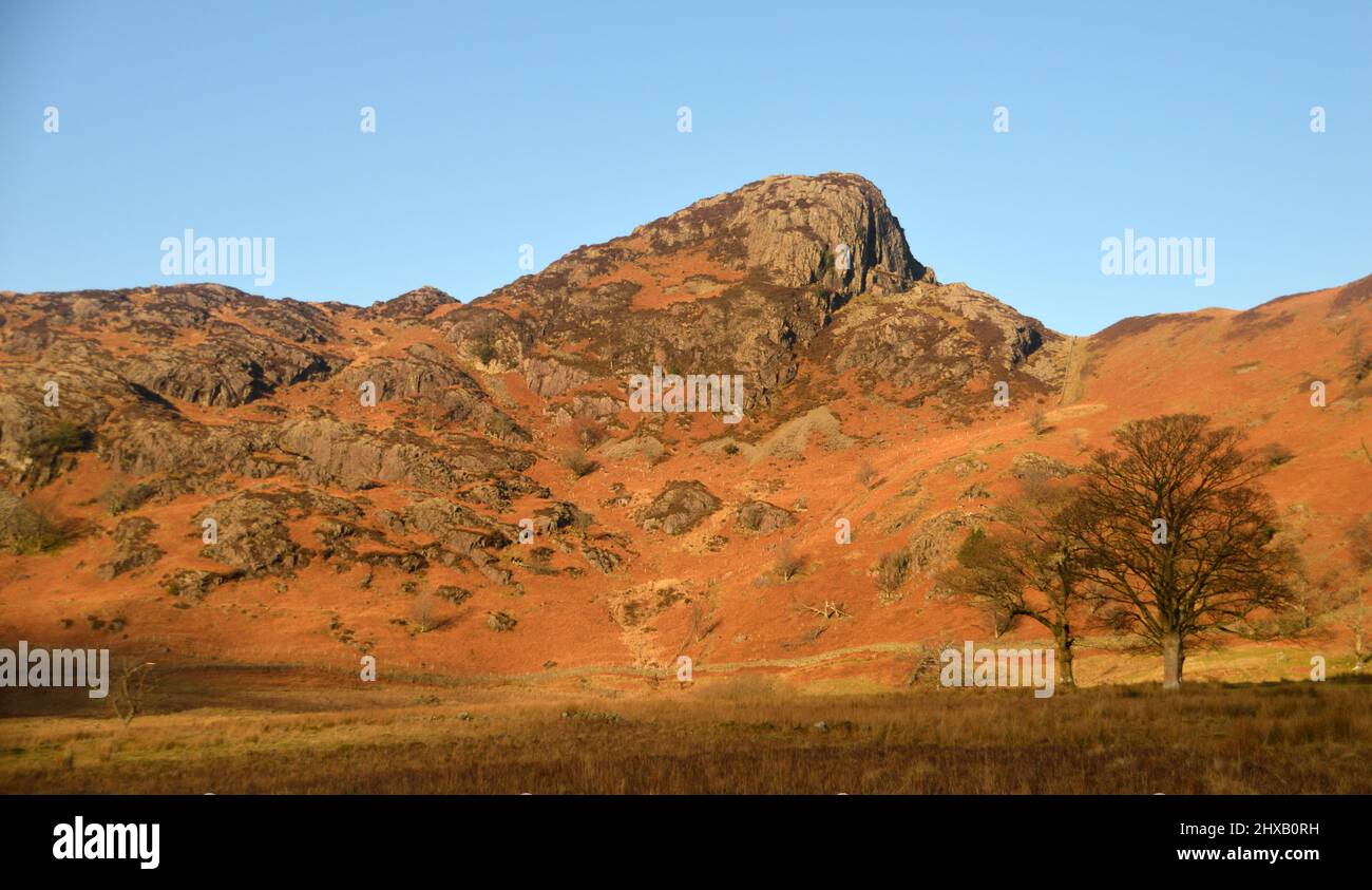 'Side Pike' from near Blea Tarn at Dawn, Langdale, Lake District National Park, Cumbria, England, UK Stock Photo