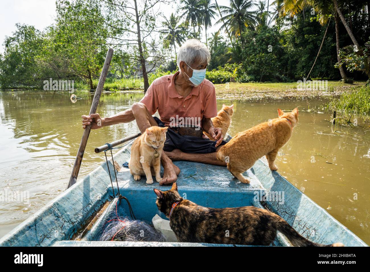 A fisherman looks for fish to catch while fishing with his rescue cats at  the Tapi River in Surat Thani. In Surat Thani, Thailand, a local fisherman  takes his rescue cats fishing