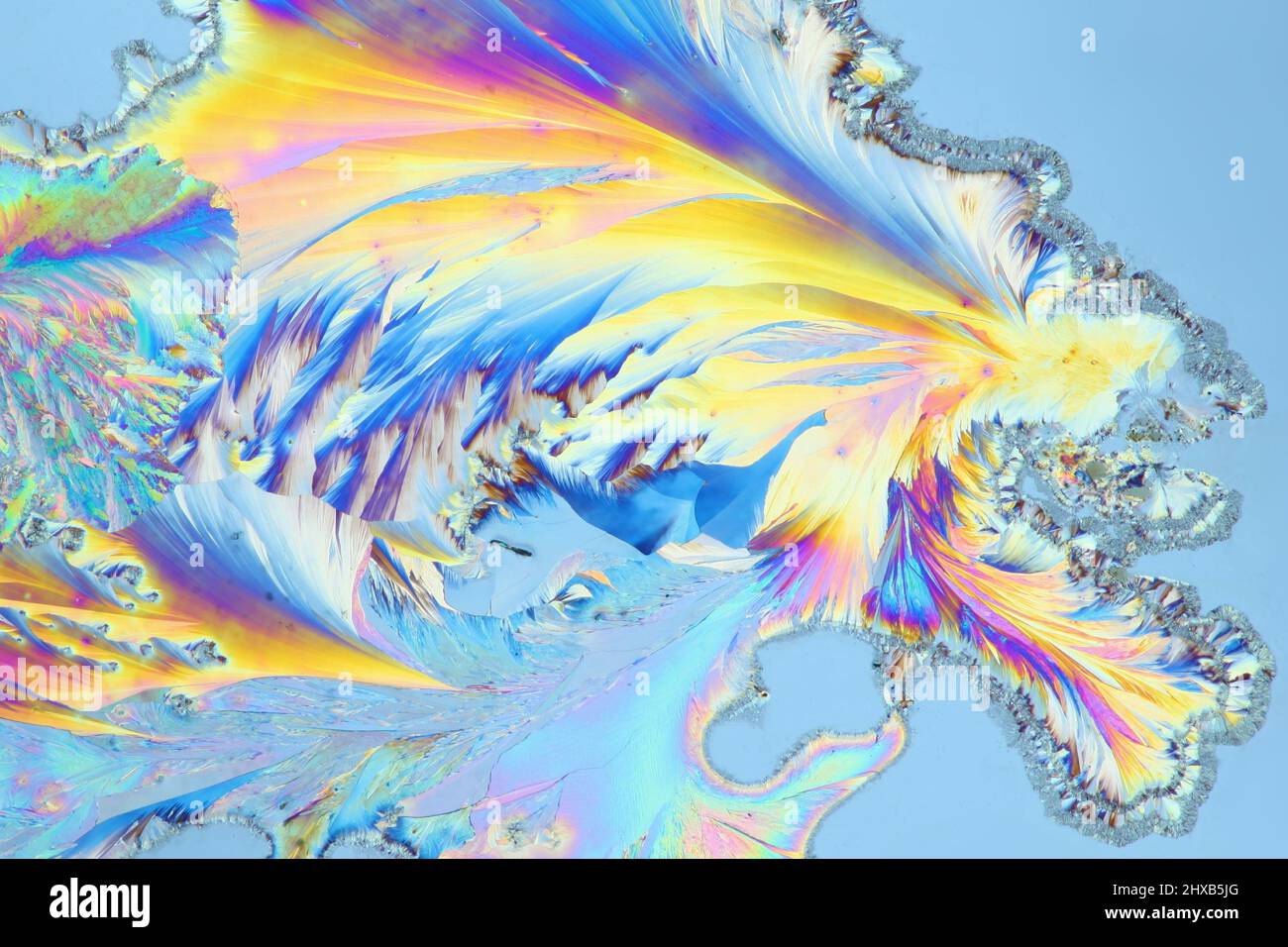 Crystals of a common painkiller Paracetamol. Microscope image, photographed in  polarized light. Stock Photo