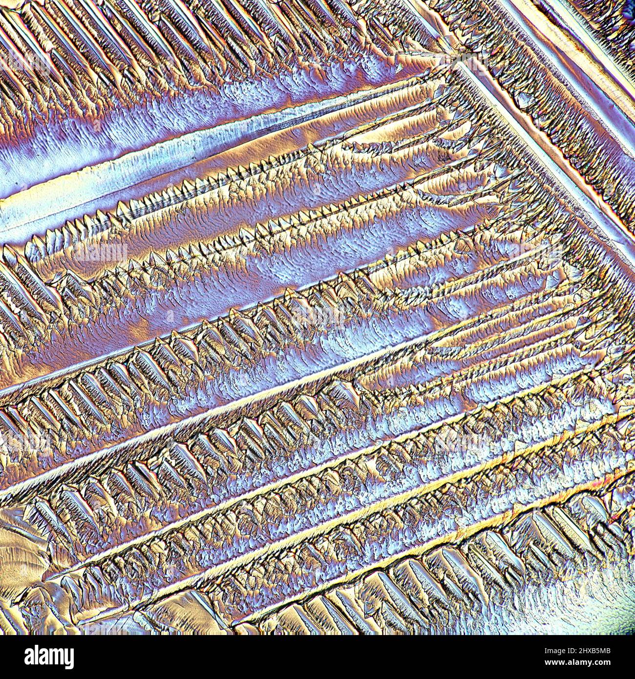 Crystals of a common painkiller Paracetamol. Microscope image, photographed in  polarized light. Stock Photo