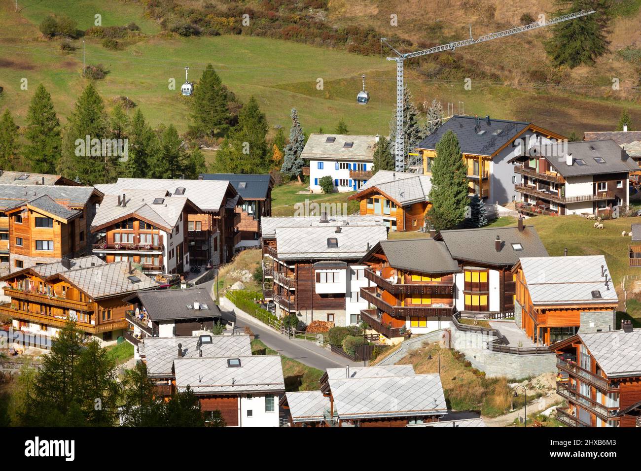 The Swiss Protocol: Beyond Standard Physical Therapy