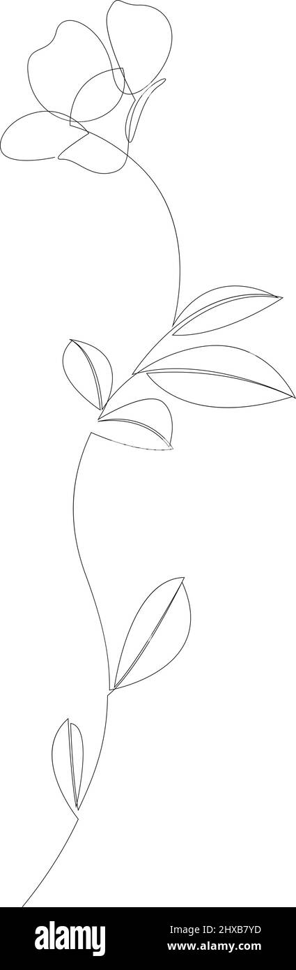 Vector Hand Drawn Line Art Drawing of Flower. Minimalist Trendy Contemporary Floral Design Perfect for Wall Art, Prints, Social Media, Posters, Invita Stock Vector