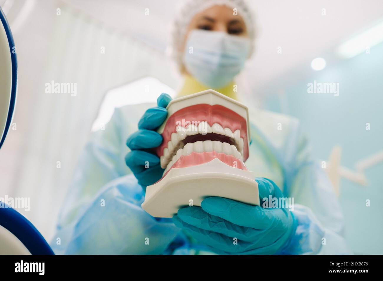A model of a human jaw with teeth and a toothbrush in the dentist's ...