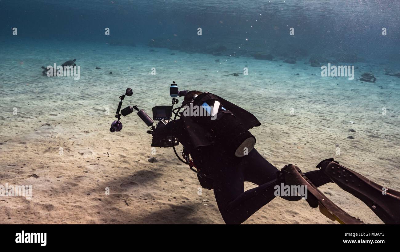 Professional diver, underwater cinematographer in coral reef of Caribbean Sea around Curacao Stock Photo