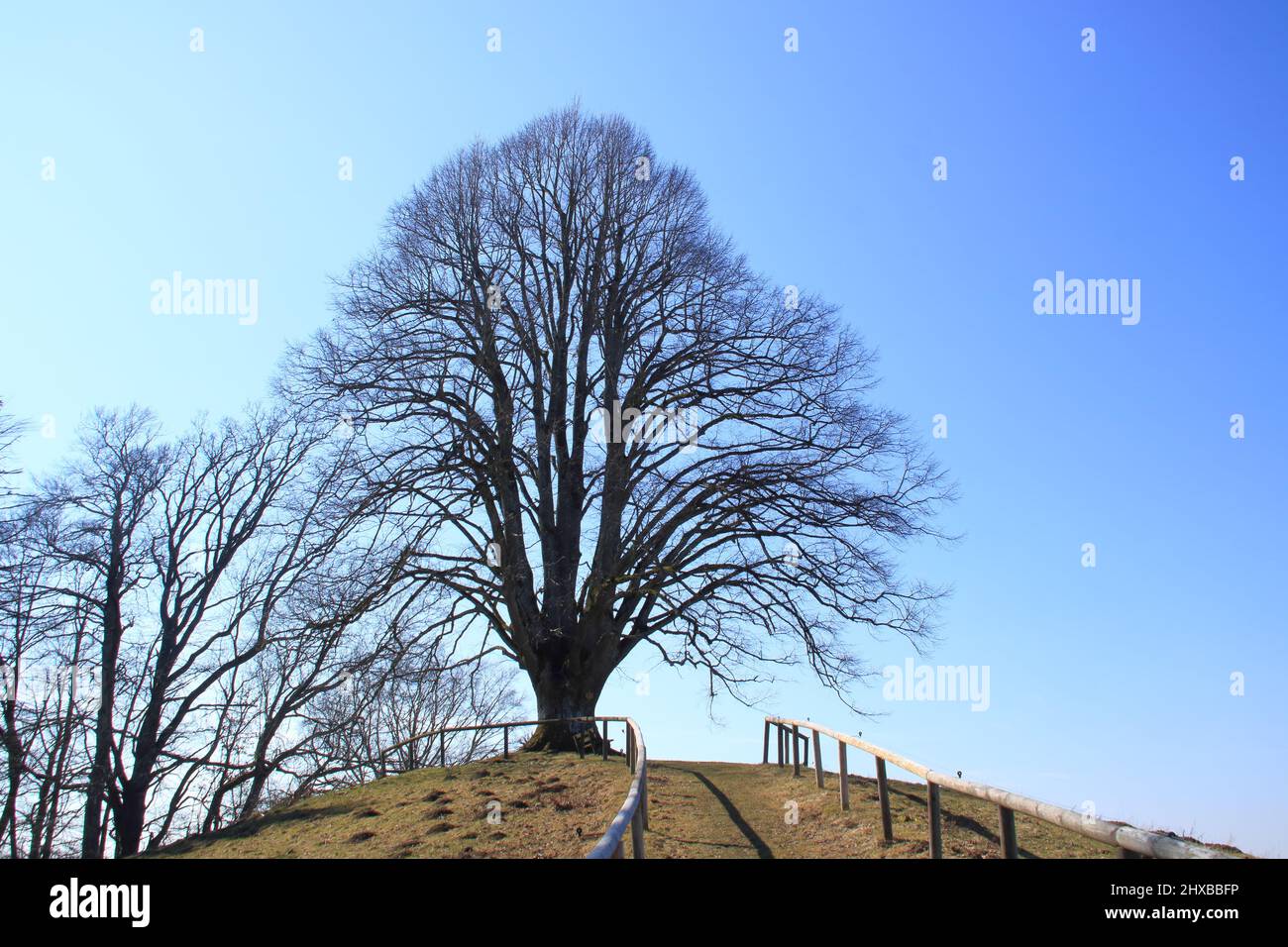 Lindele vantage point in Alttann near Wolfegg Stock Photo