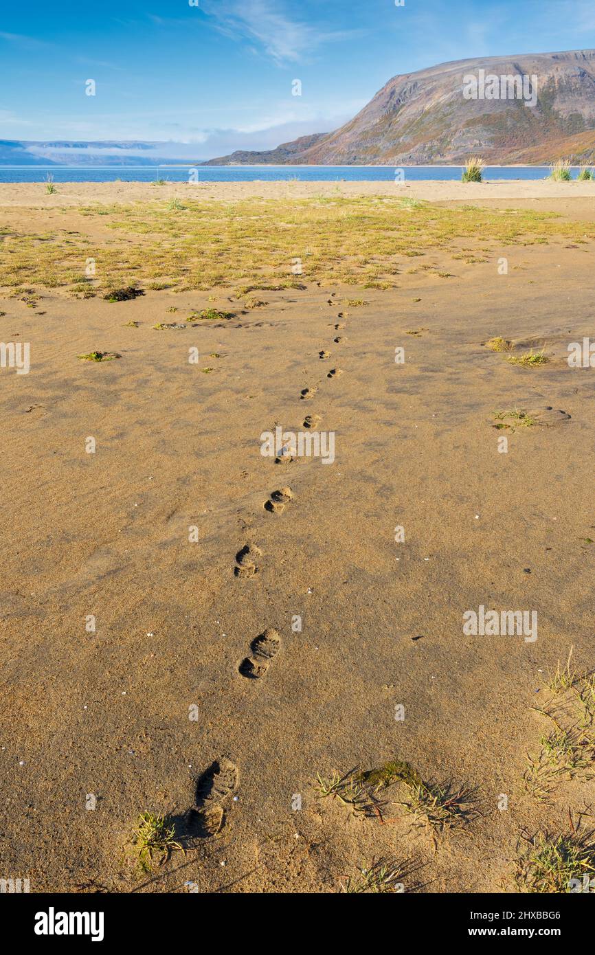 Landscape at low tide, footprints in wet sand, Tanamunningen nature reserve in the mouth of the Teno aka Tana river, Finnmark, Norway Stock Photo