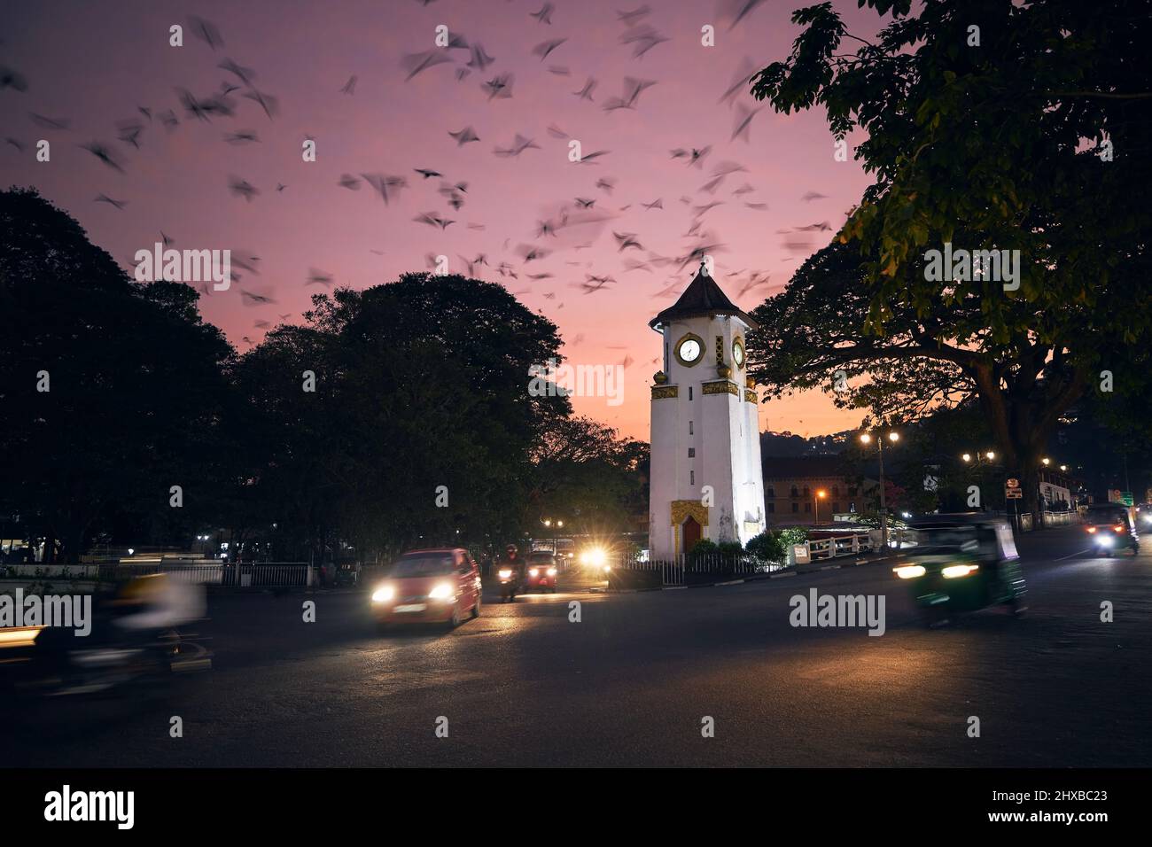 Flock of birds on sky above city at dusk. Traffic around clock tower on street in Kandy, Sri Lanka. Stock Photo
