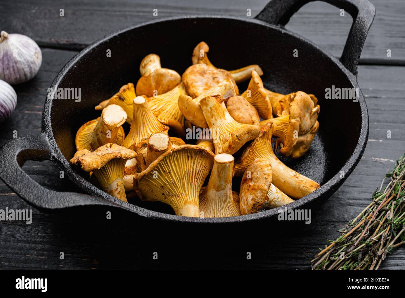 Raw wild chanterelles mushrooms set, in cast iron frying pan Stock