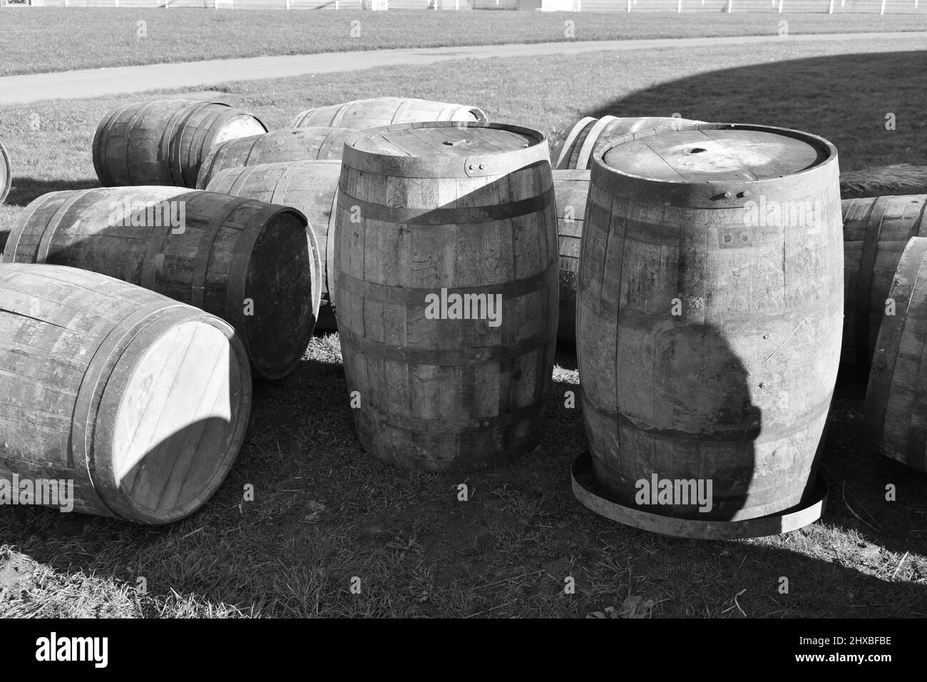 close up of old fashioned wooden beer barrels stood on grass outside on a sunny day.  Old wood kegs full of alcohol Stock Photo