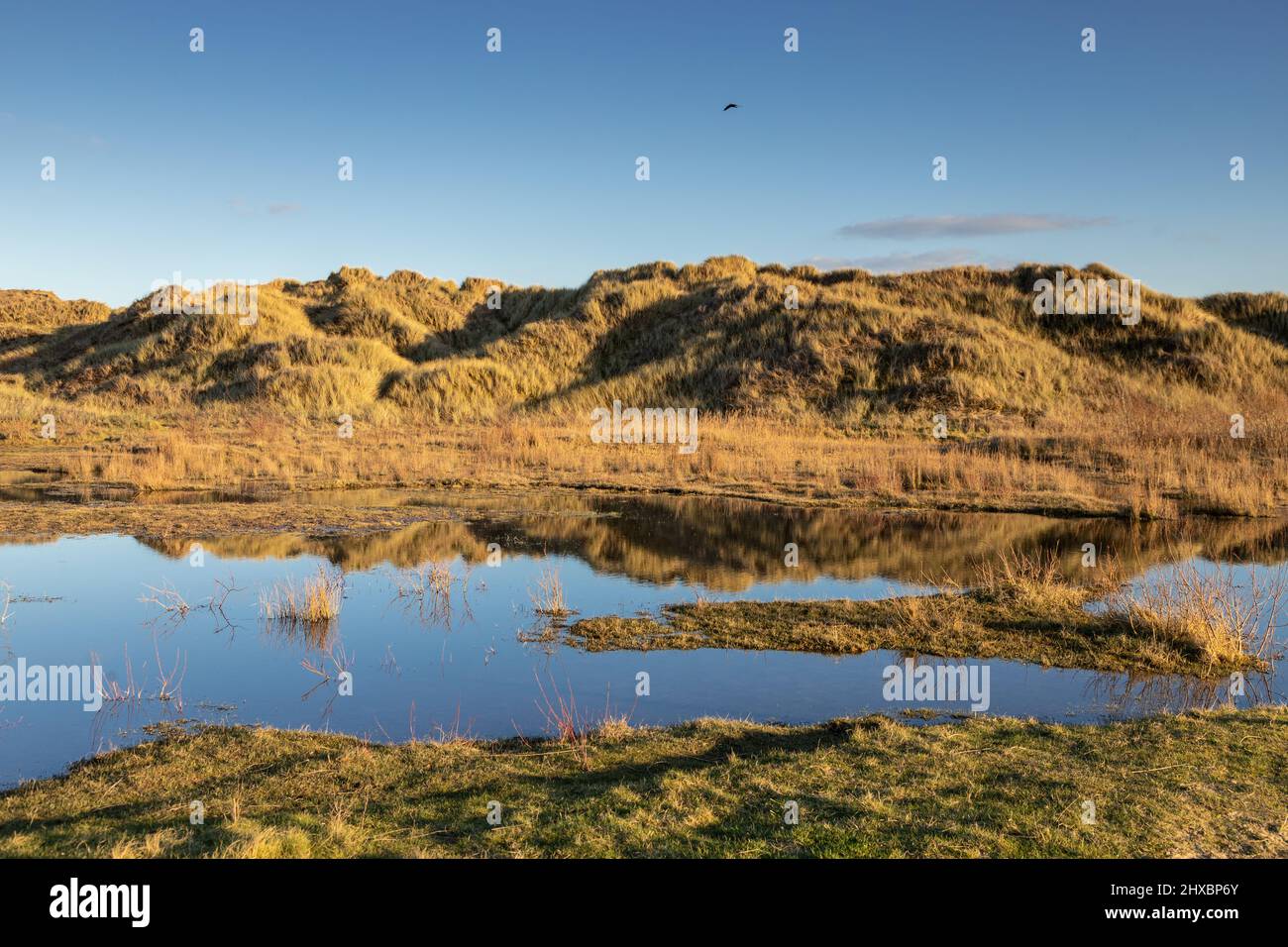 Sand dunes at Talacre beach on the North Wales coast Stock Photo