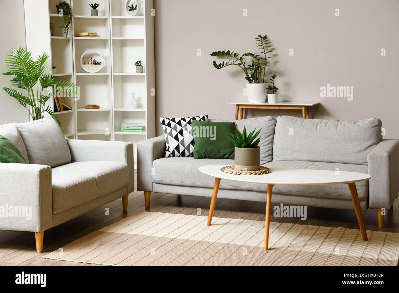Interior of light living room with coffee table, sofas and houseplants
