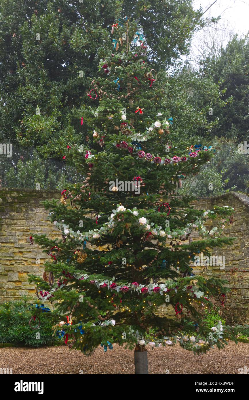 Old fashioned decorated Christmas tree in courtyard Stock Photo