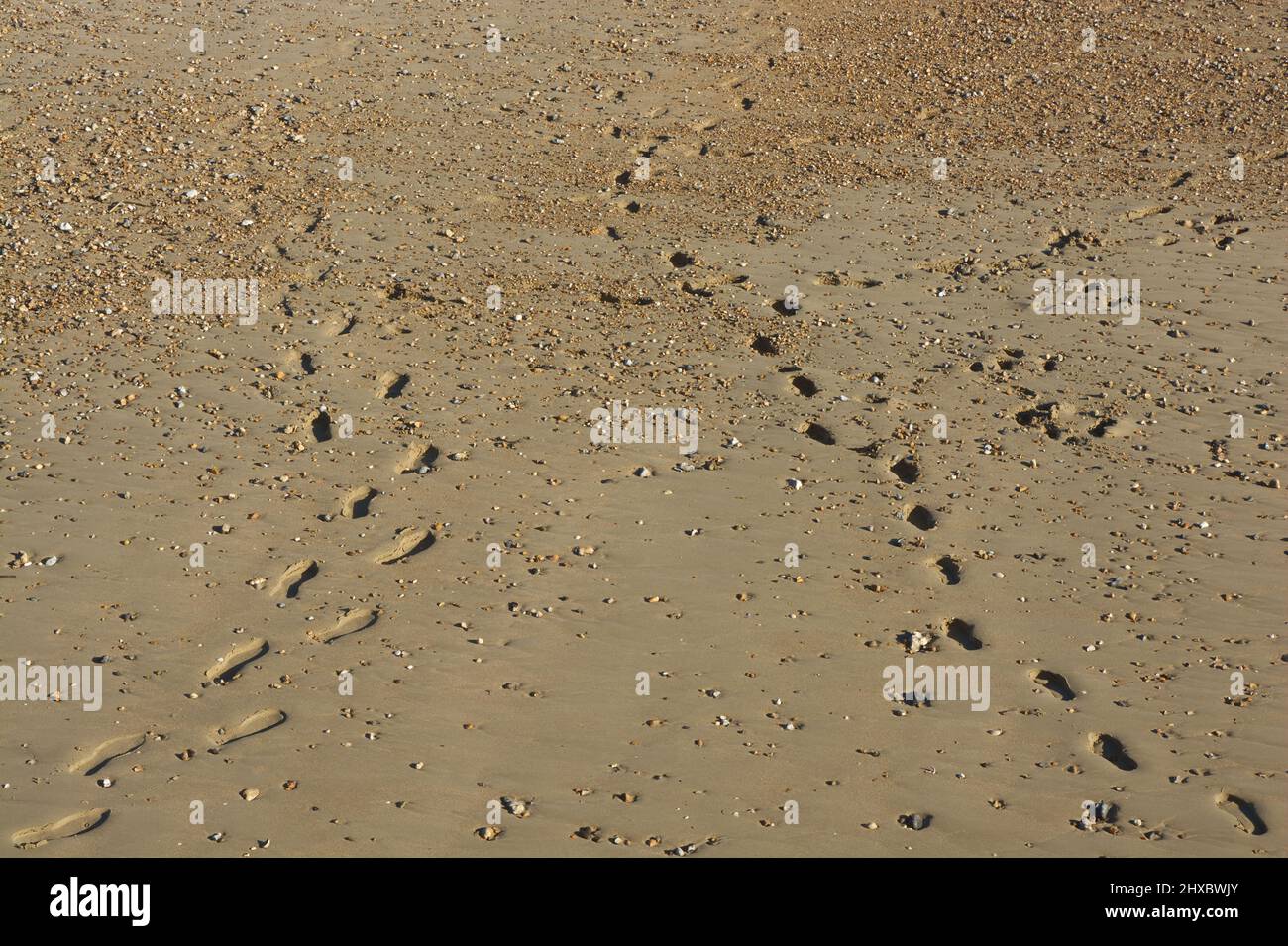 Two sets footprints hi-res stock photography and images - Alamy