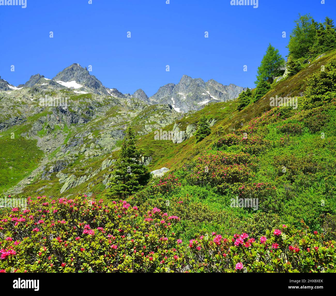 Mountain landscape in the Nature Reserve Aiguilles Rouges, Graian Alps, France, Europe. Stock Photo