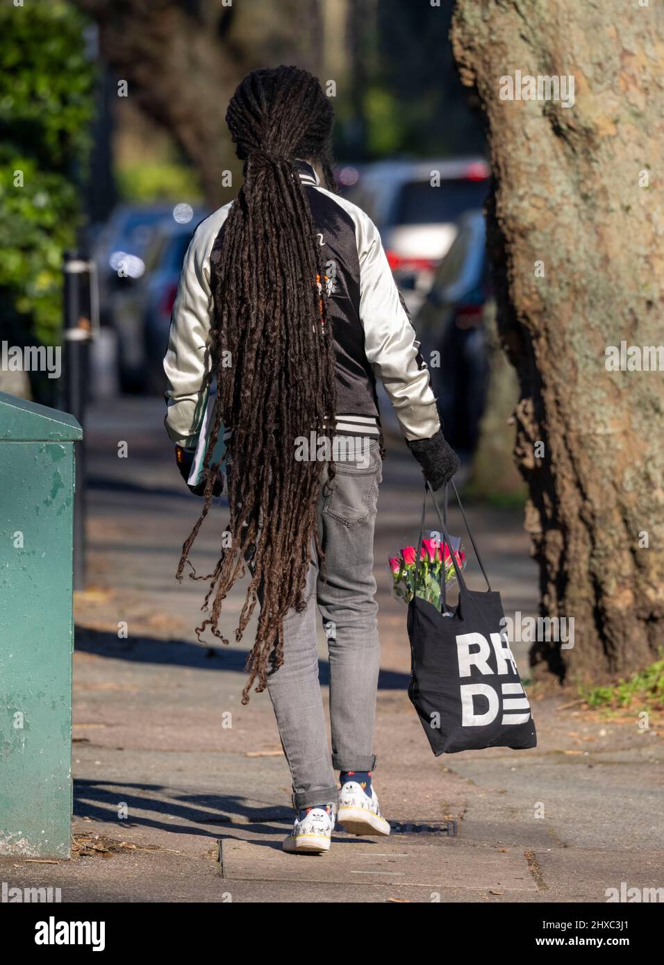 Rastafarian dreadlocks hi-res stock photography and images - Alamy