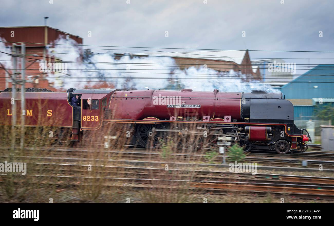 The Duchess of Hamilton restored steam locomotive travelling at speed on the West Coast main line at Warrington. Stock Photo
