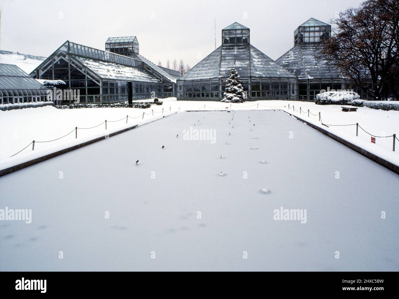 Brooklyn Botanic garden greenhouses in winter weather NYC Stock Photo