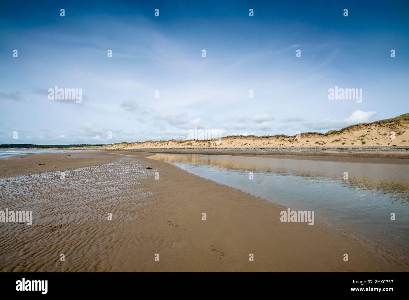 Newborough beach on Anglesey Ynys Mon North Wales uk looking towards