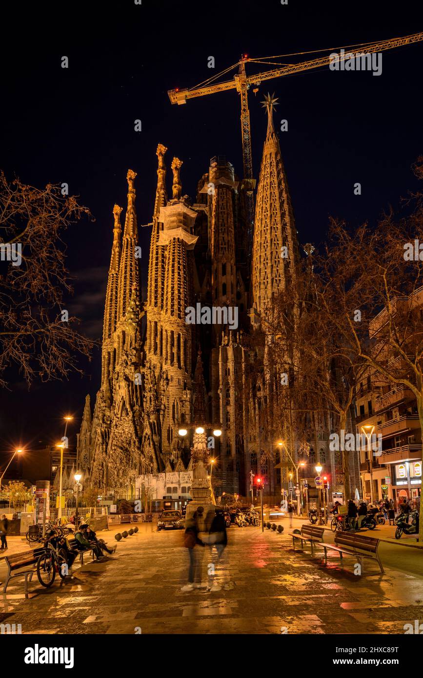 Basilica of the Sagrada Familia at night, seen from Gaudí Avenue (Barcelona, Catalonia, Spain) ESP: Basilica de la Sagrada Familia de noche, Barcelona Stock Photo