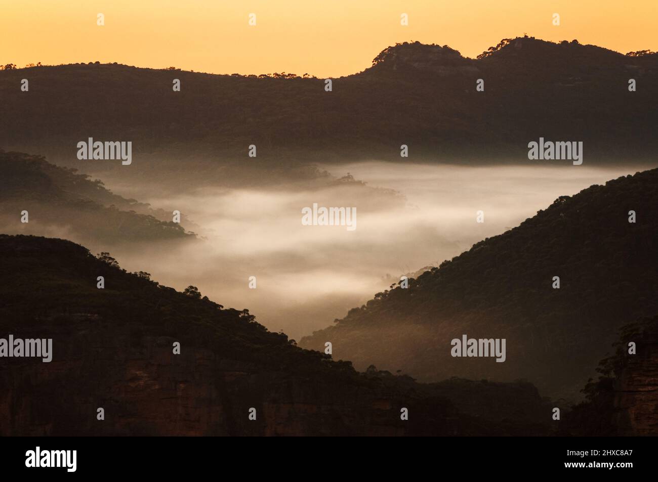 Sunrise over Grose Valley in Blue Mountains National Park. Stock Photo