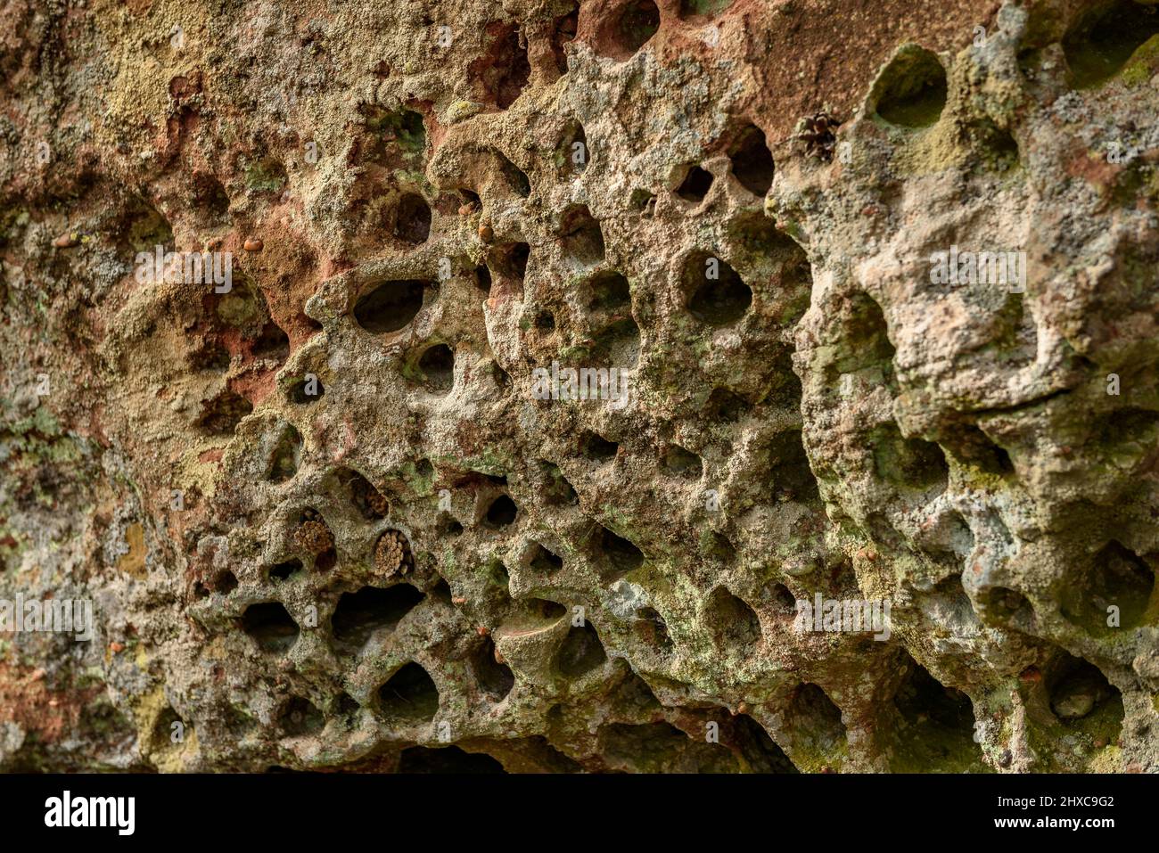 Erosion in the stone near the Roca del Gríngol summit, in the Prades mountains (Tarragona, Catalonia, Spain) ESP: Erosión en la piedra cerca de Prades Stock Photo