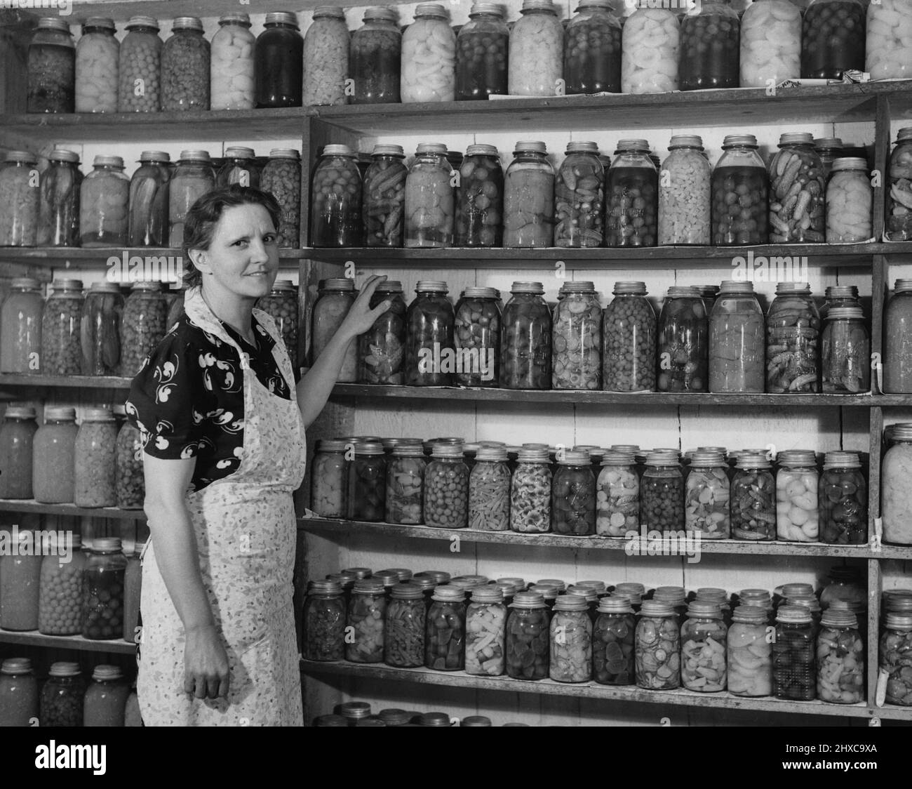 Woman is an outstanding home canner in her neighborhood. Her yearly average is 625 cans of fruits and vegetables Stock Photo