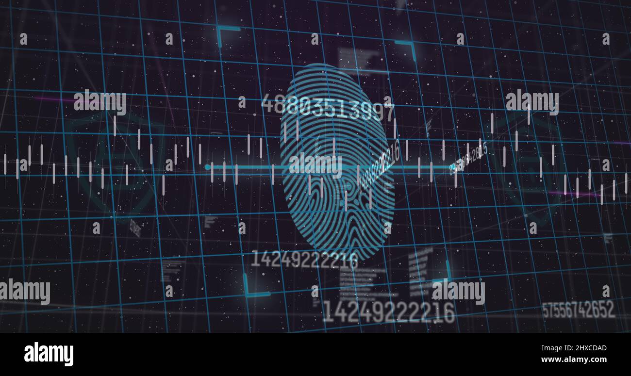 Image of financial data processing over fingerprint on black background ...