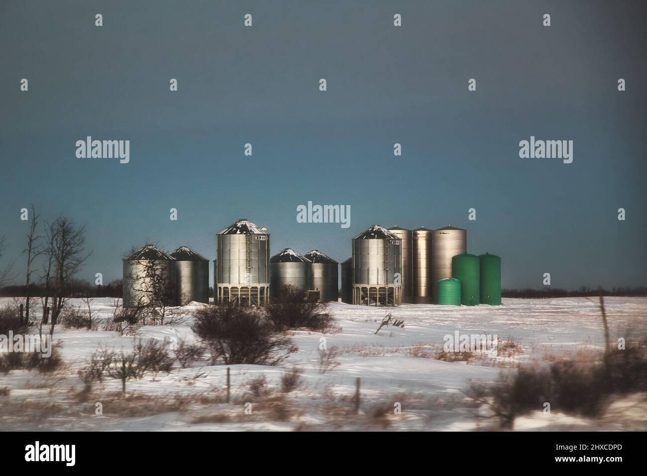 Varying sizes of steel grain storage bins in a rural winter agricultural landscape dotted with trees Stock Photo