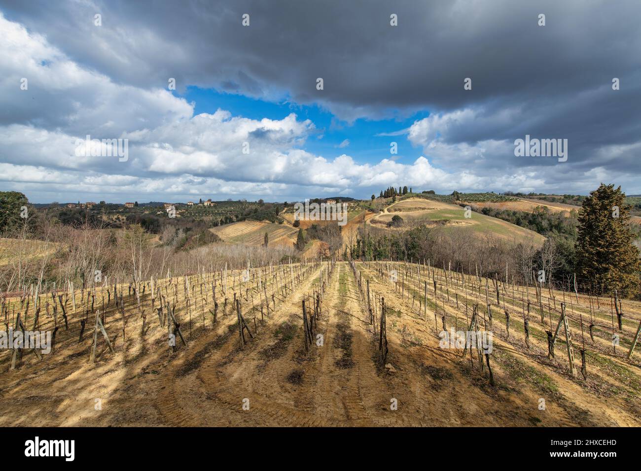 Vineyards in Tuscany Italy where Chianti wine is produced Stock Photo