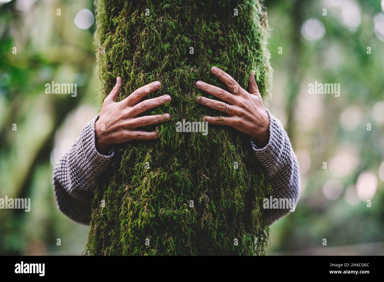 Nature lover hugs tree trunk with green moss in tropical forests, Stock Photo