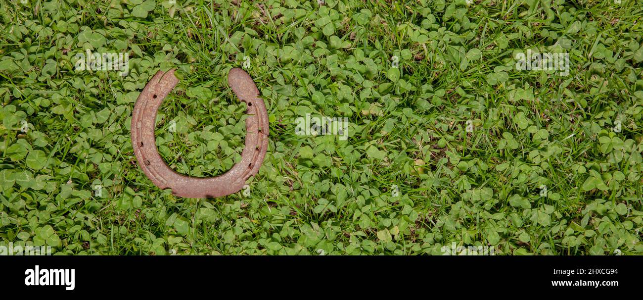 Old horseshoe in the Green Clover as a lucky charm Stock Photo