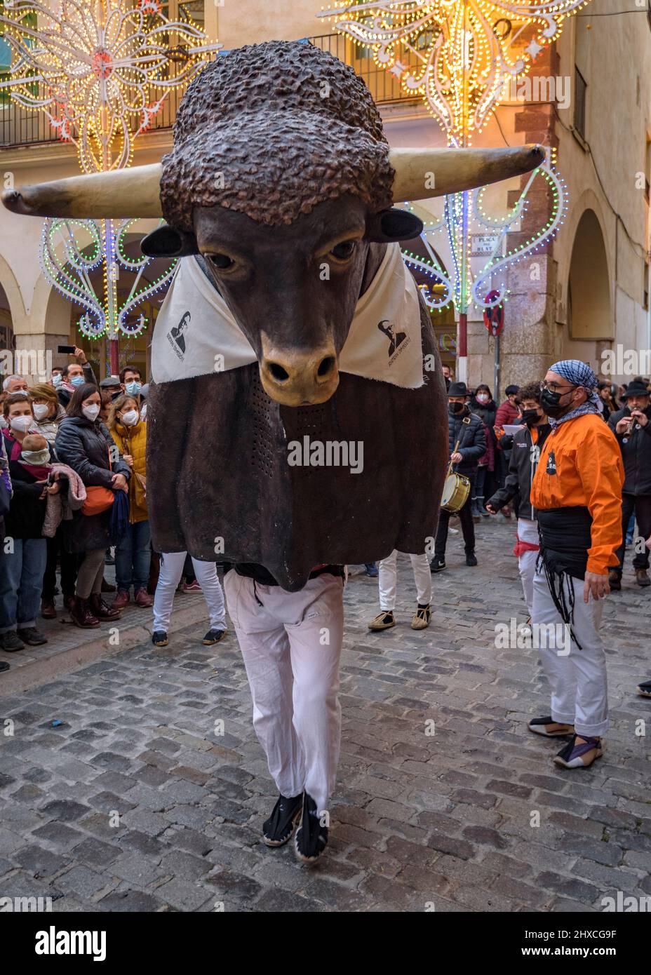 The Valls' bull in the Procession of the 2022 Valls Decennial Festival, in honor of the Virgin of the Candlemas in Valls (Tarragona, Catalonia, Spain) Stock Photo