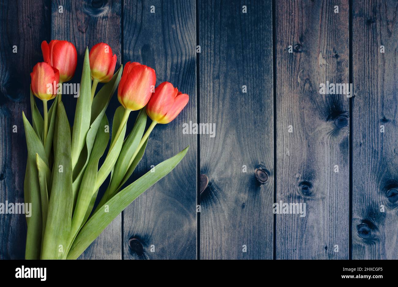 Bouquet of tulips on a dark wooden table. Stock Photo