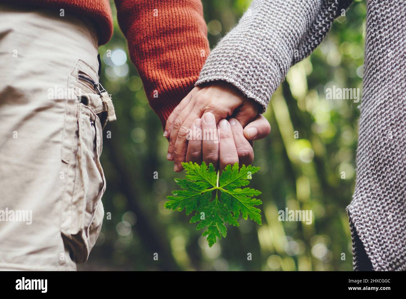 Pair, Hands, Hold, Detail, Forest, leaf Stock Photo