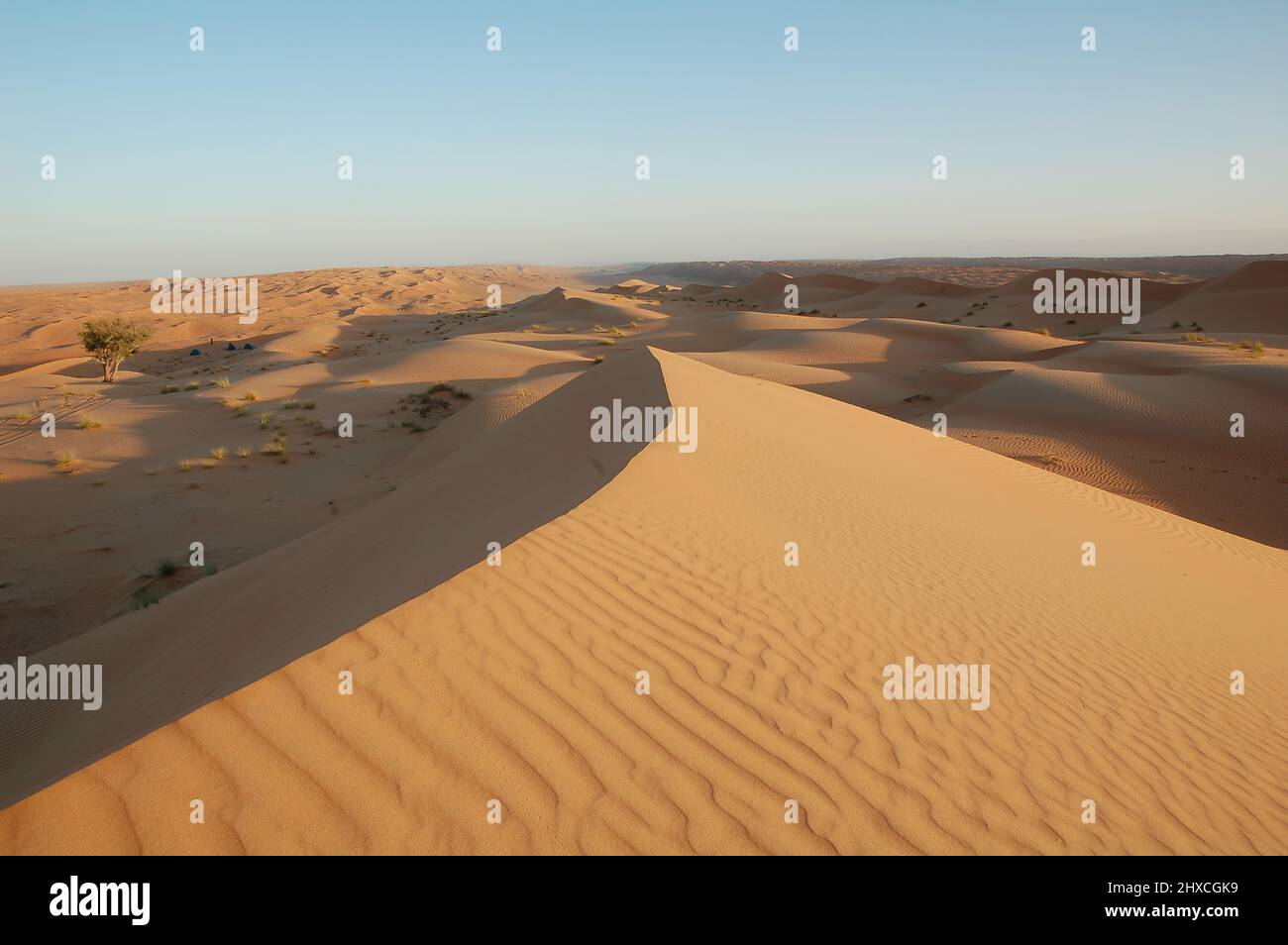 Sand dunes in the northern Sahara desert Stock Photo Alamy