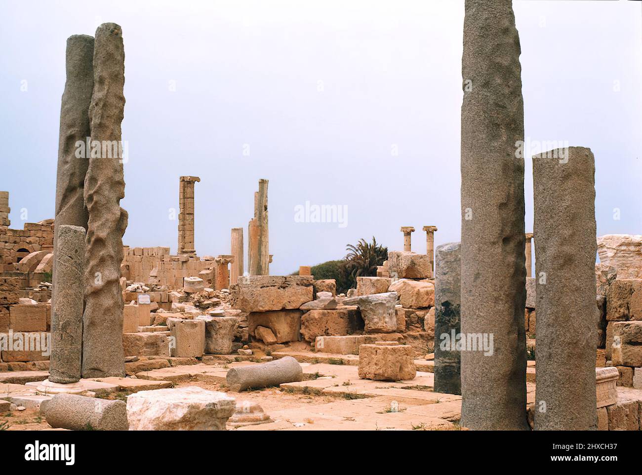 Historical Laptis Magna Romans ruins site in the Libya Stock Photo