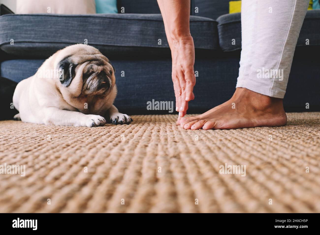Woman, Detail, Hands, Feet, Stretching, Dog, living room, floor Stock Photo