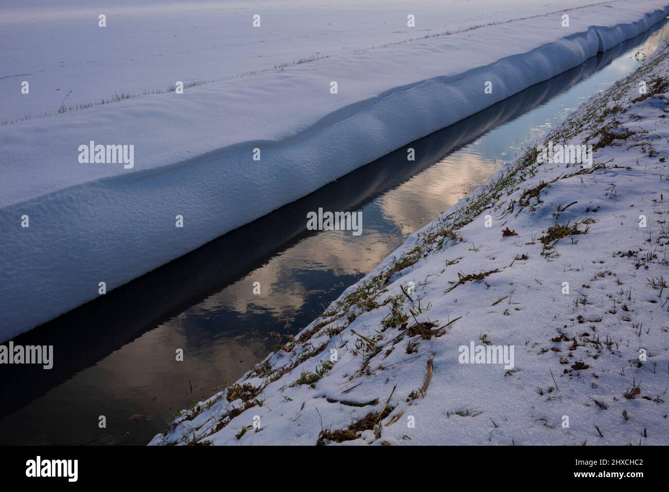 Small narrow stream trees hi res stock photography and images Alamy