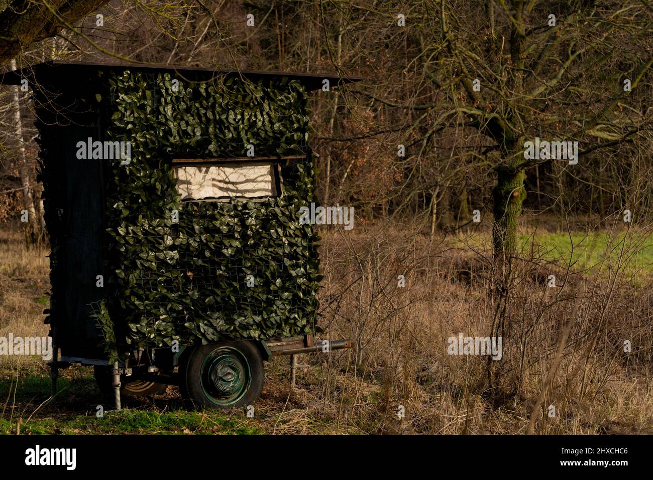 Hiding place for hunters at the edge of a forest, shallow depth of field, camouflaged cottage Stock Photo