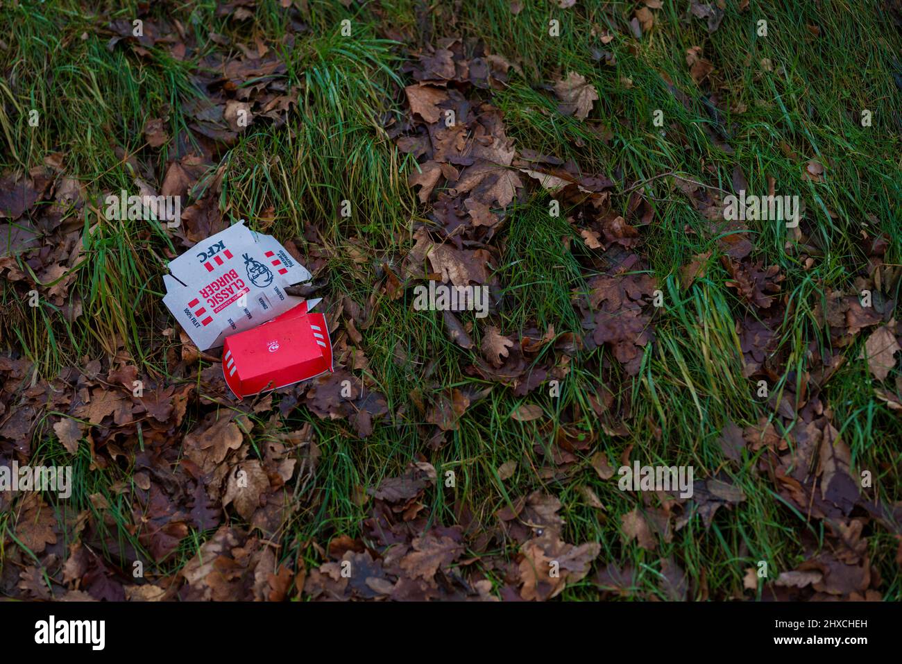 Germany, Luckenwalde, 22 January 2022, Carelessly discarded garbage in nature, Pollution by fast food Food Stock Photo