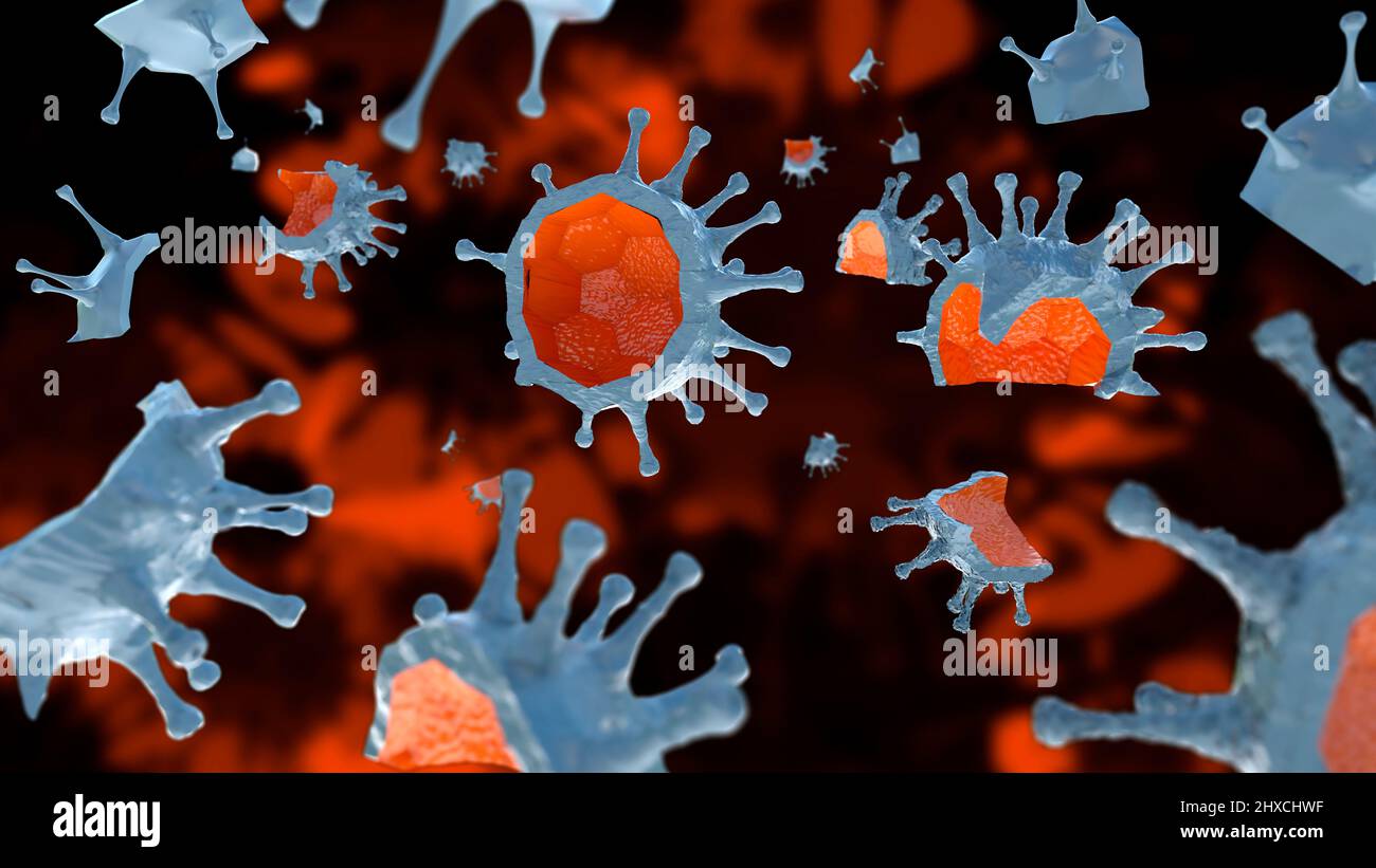 Fragments of corona viruses as an inactivated vaccine Stock Photo