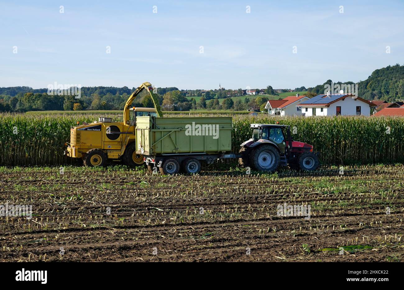 Germany, Bavaria, Upper Bavaria, Traunstein county, agriculture, corn field, corn harvest, corn chopper, tractor, wagon Stock Photo