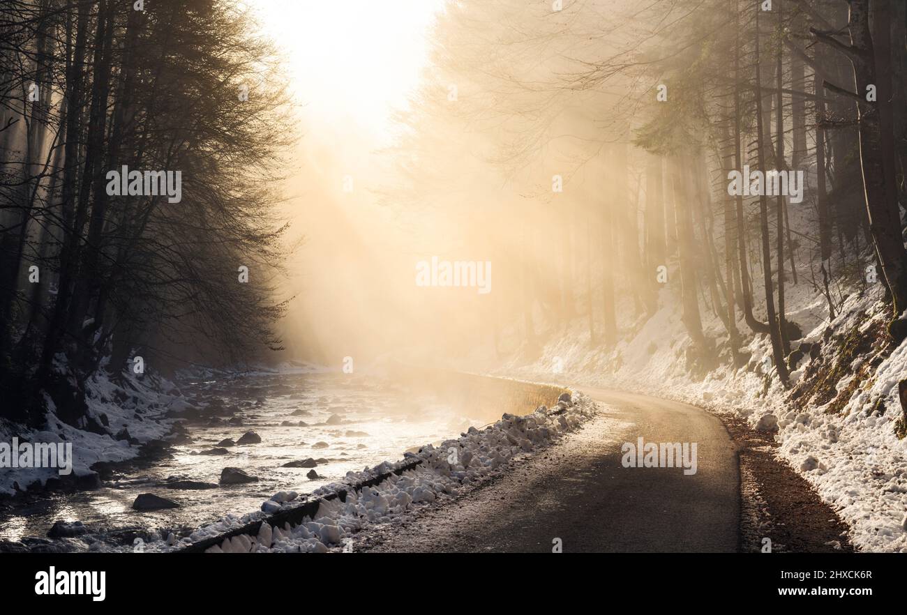 Sun rays break through fog in winter and illuminate river and road in forest. Halblech, Ammergau Alps, Bavaria, Germany, Europe Stock Photo