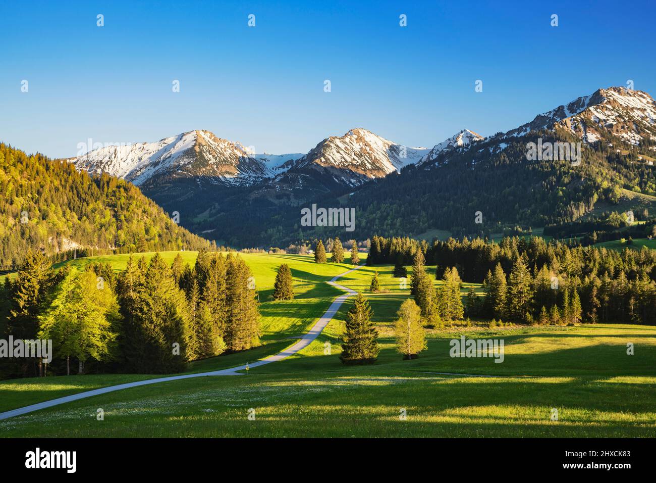 Sunset in the Allgäu Alps on a sunny spring day. View into the Tannheimer valley with Rohnenspitze and Ponten. Green meadows, forests and snow covered mountains. Bavaria, Germany, border area Tyrol, Austria, Europe Stock Photo