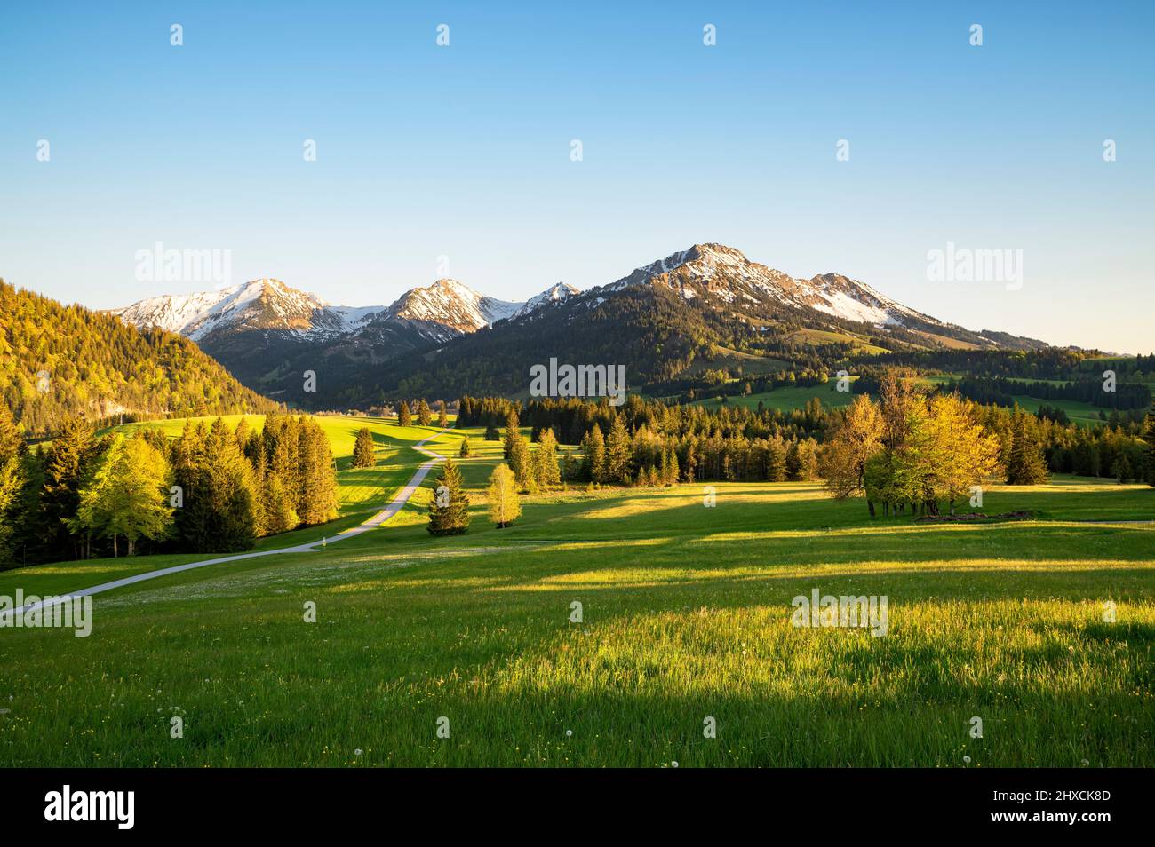 Sunset in the Allgäu Alps on a sunny spring day. View into the Tannheimer valley with Rohnenspitze, Ponten and Kühgundkopf. Green meadows, forests and snow-covered mountains. Bavaria, Germany, border area Tyrol, Austria, Europe Stock Photo