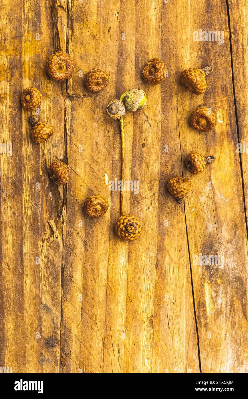 Acorn fruit heart shape, wooden background Stock Photo